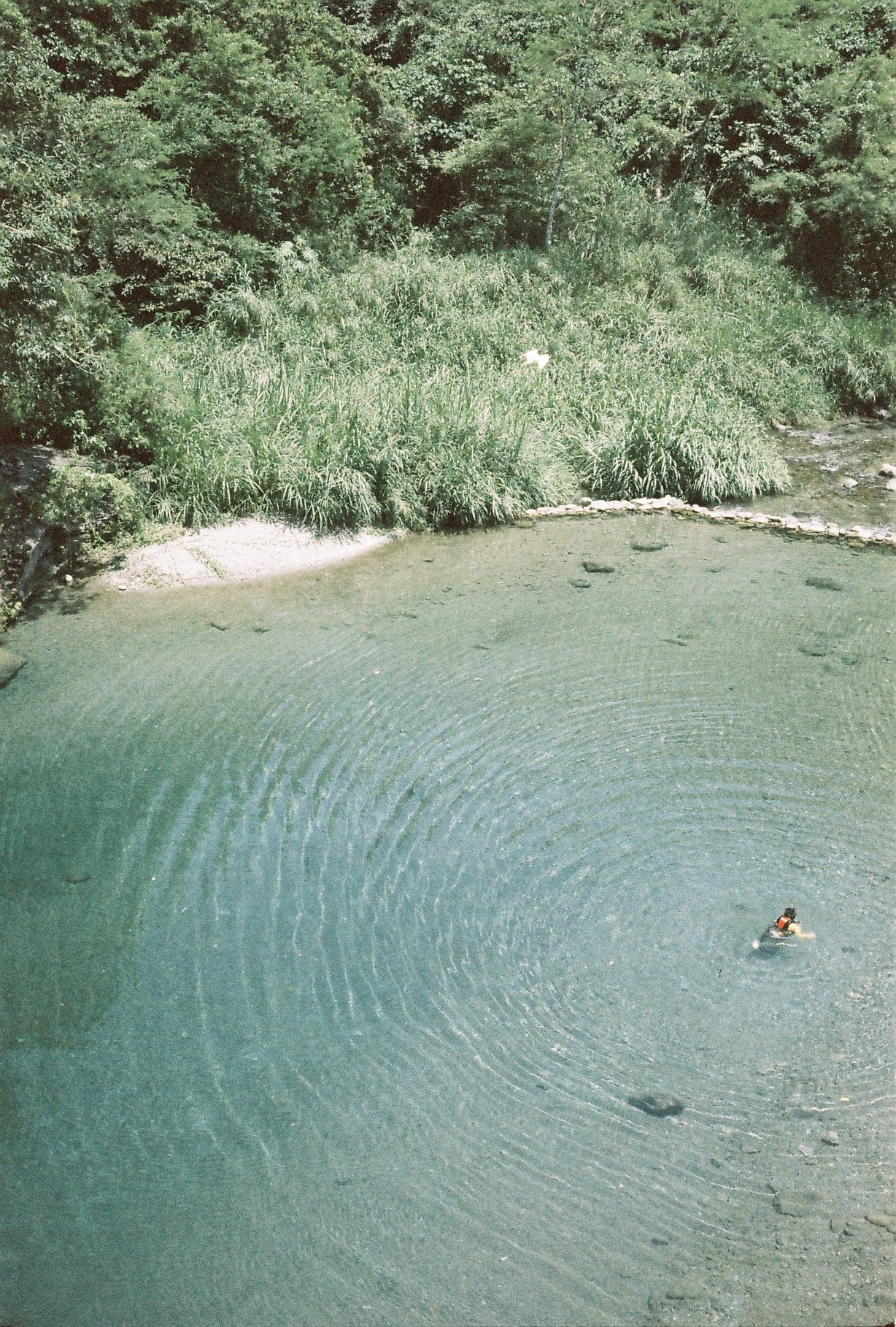 Reto Aqua 400 - 35mm