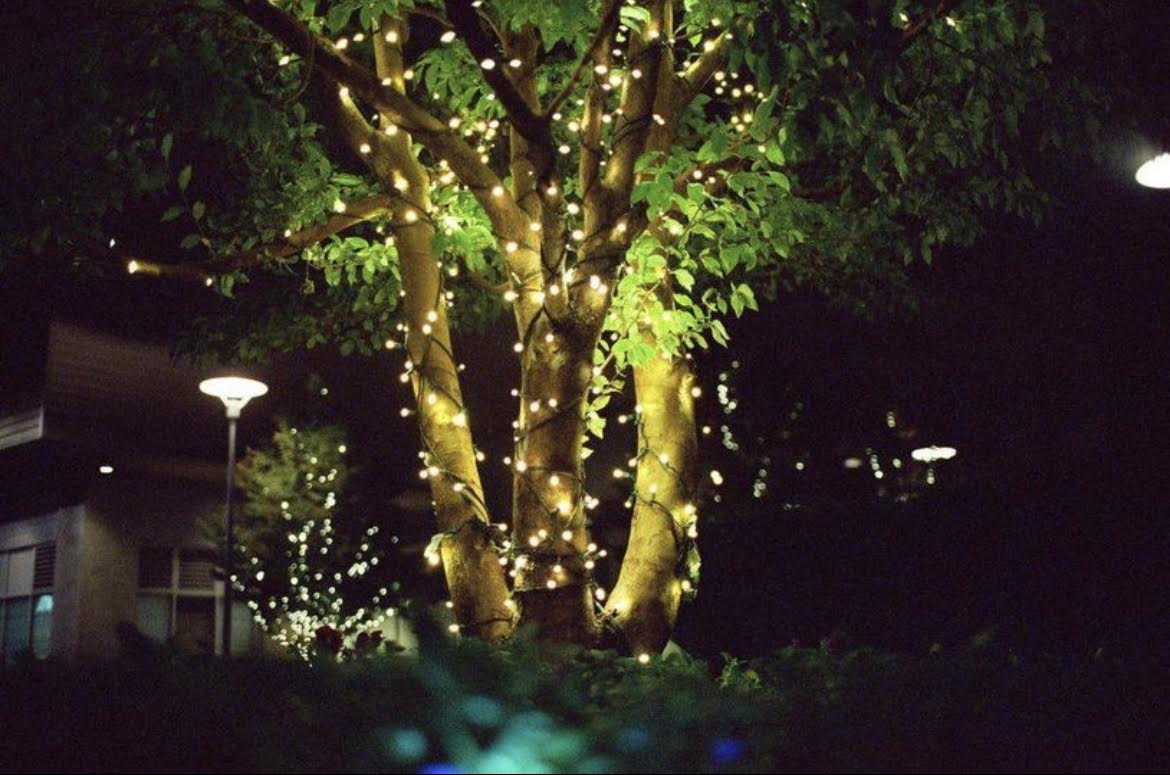 Night Vision 400T - 35mm