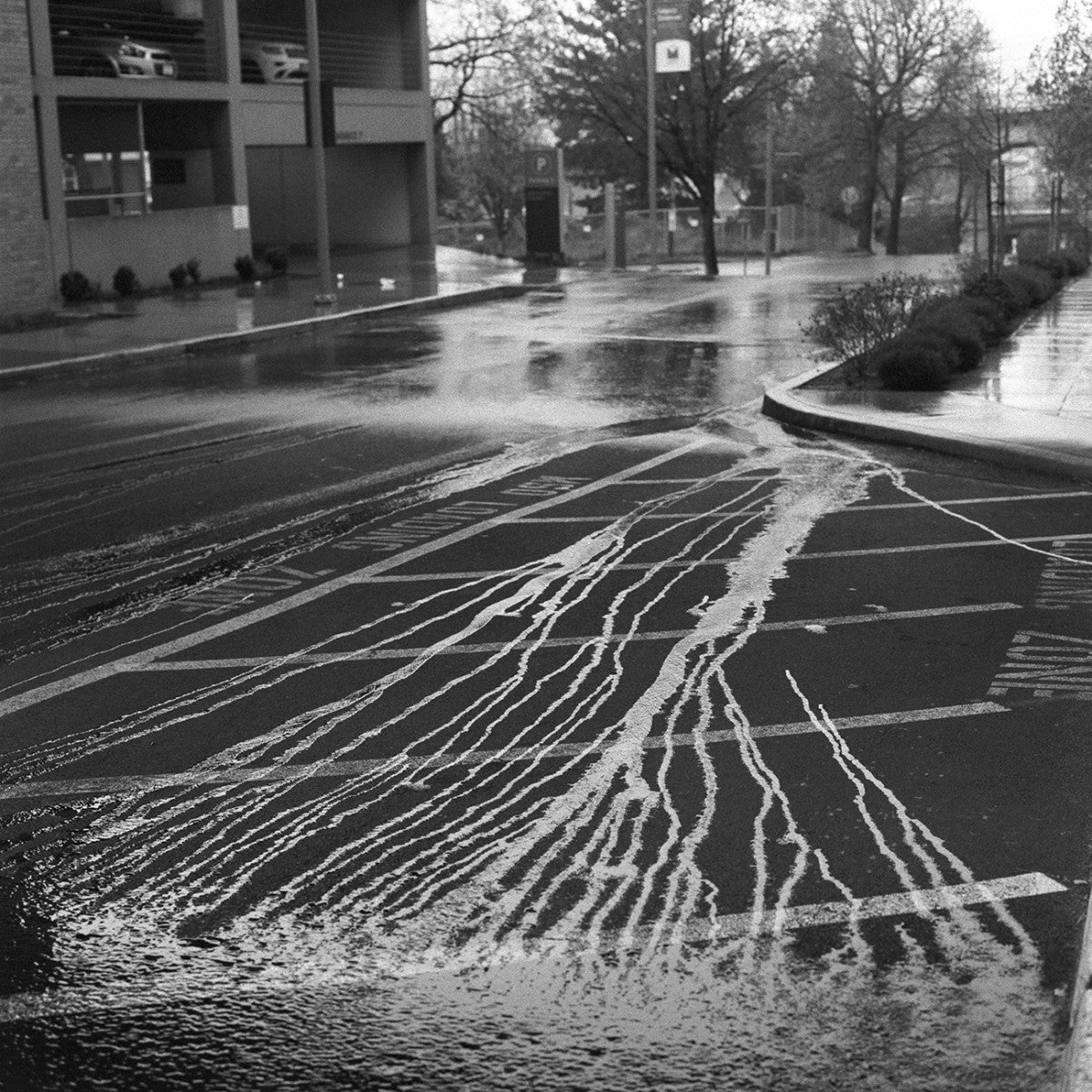 FomaPan 120  - 320