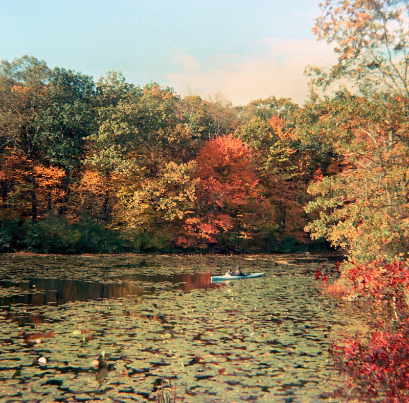 Film Photography Project - 620 Color Film