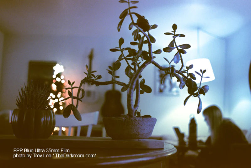 Film Photography Project Blue Ultra - 35mm